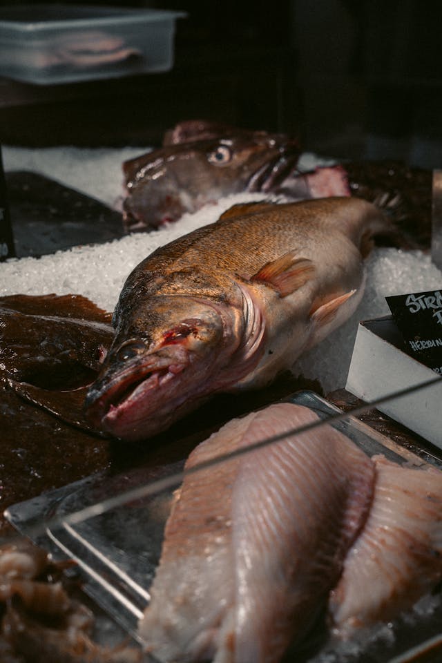 vitrines réfrigérées poissonnerie